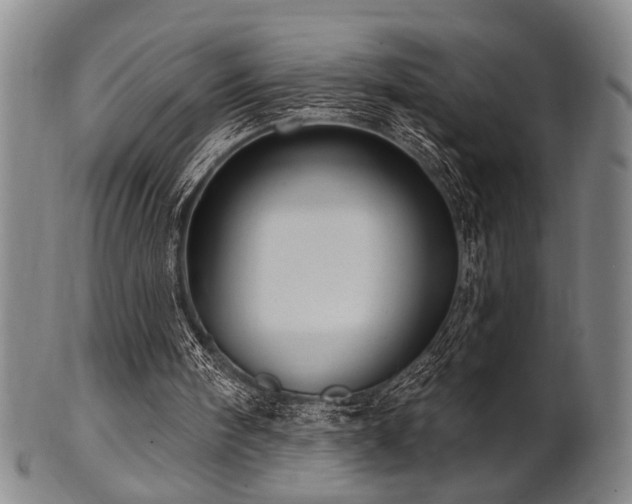 X0000102460098200808081236