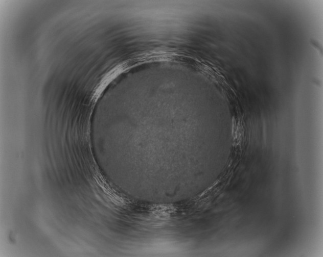 X0000102460099200808081236