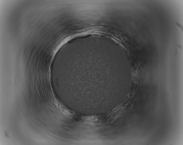 X0000102460100200808081236