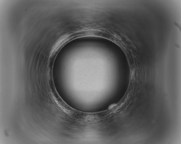 X0000102460101200808081236