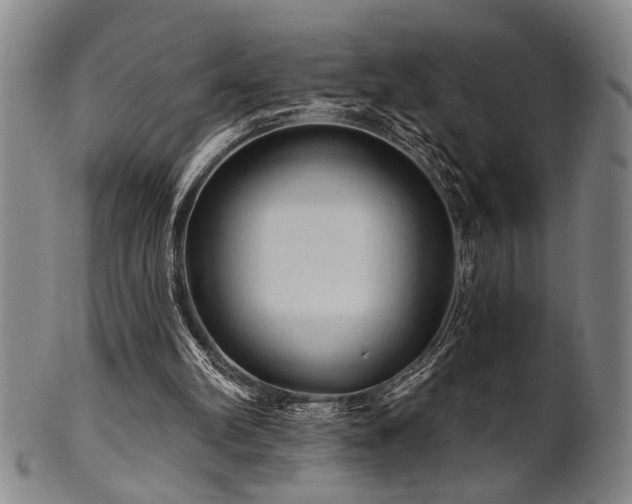 X0000102460102200808081236