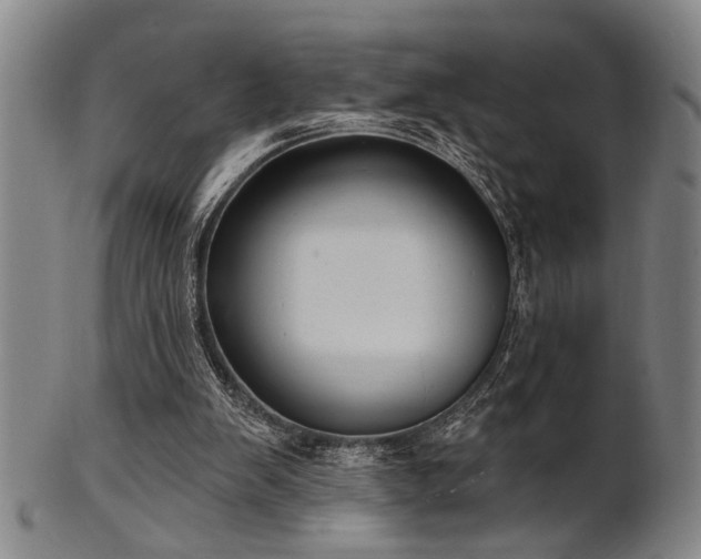 X0000102460103200808081236