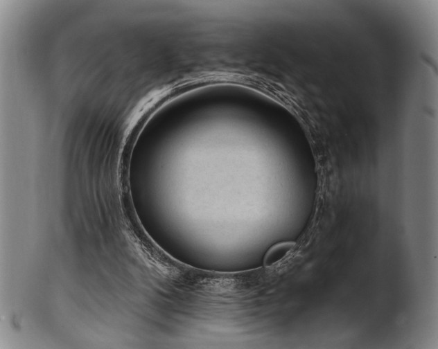 X0000102460104200808081236