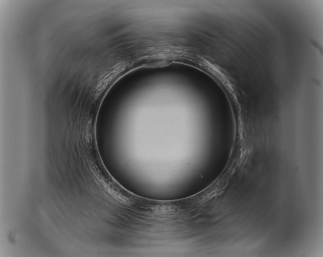 X0000102460105200808081236