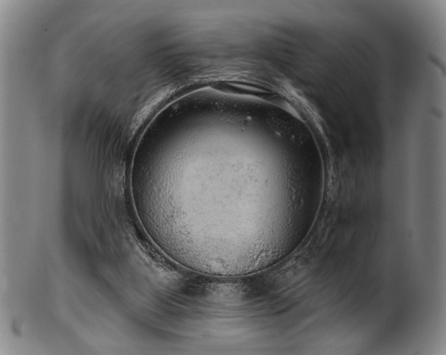 X0000102460107200808081236