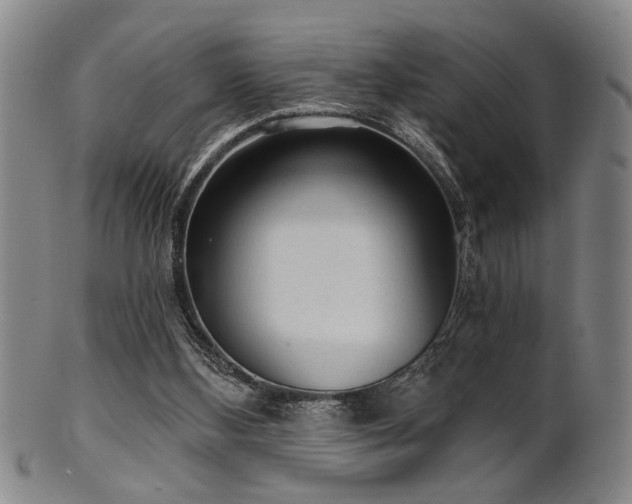 X0000102460108200808081236