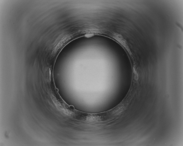 X0000102460109200808081236