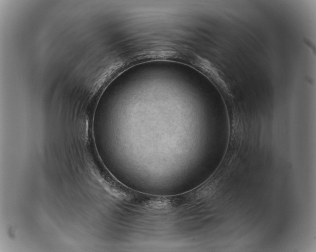 X0000102460110200808081236