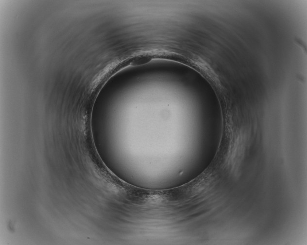 X0000102460111200808081236