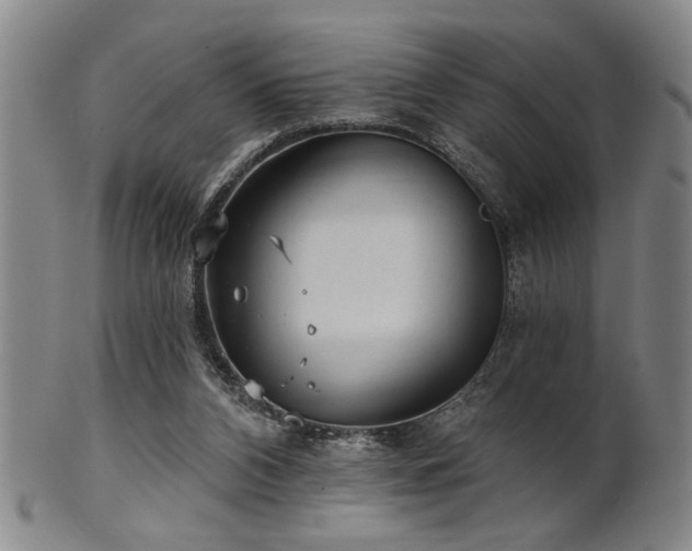 X0000102460112200808081236