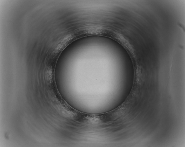 X0000102460113200808081236