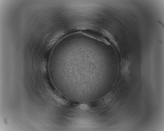 X0000102460114200808081236