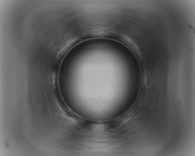 X0000102460115200808081236