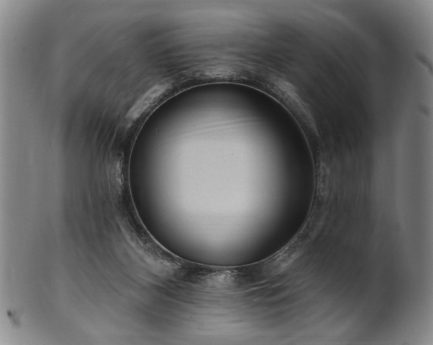 X0000102460116200808081236