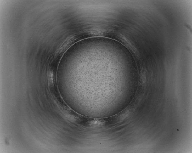 X0000102460117200808081236