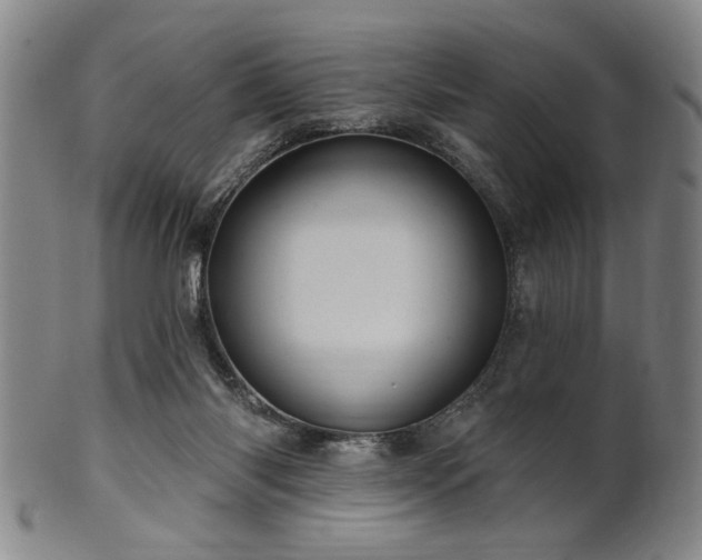 X0000102460118200808081236