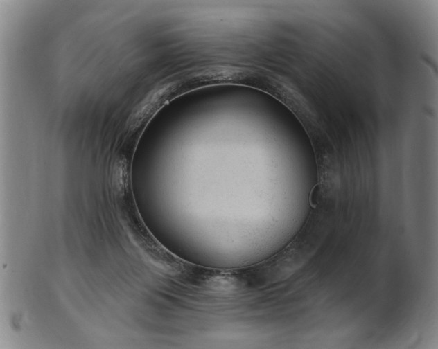 X0000102460119200808081236