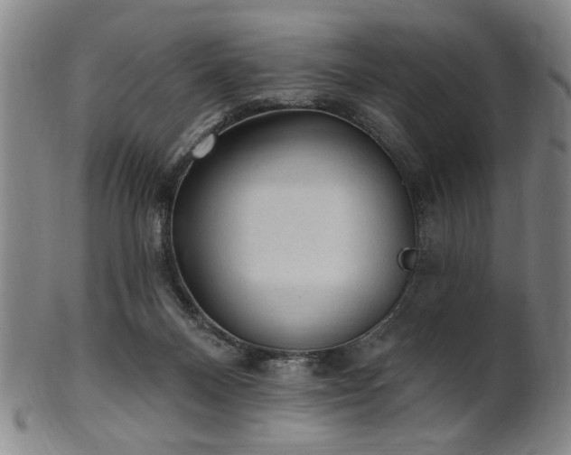 X0000102460120200808081236