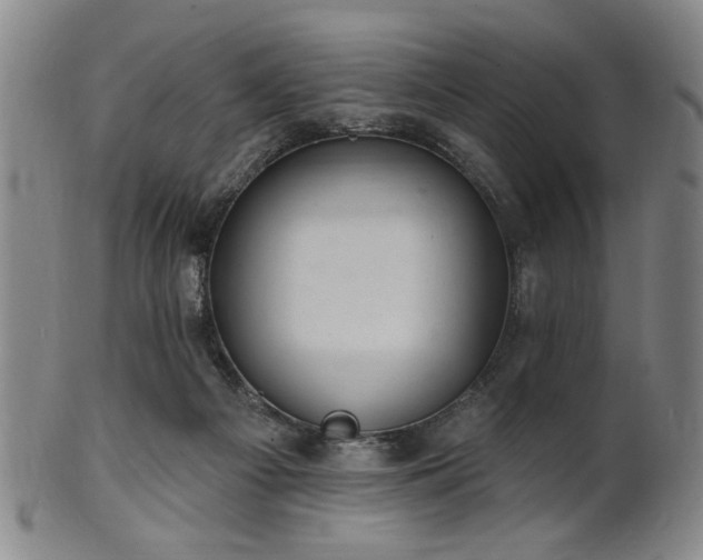 X0000102460121200808081236