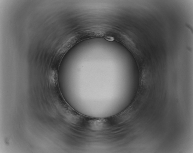 X0000102460122200808081236