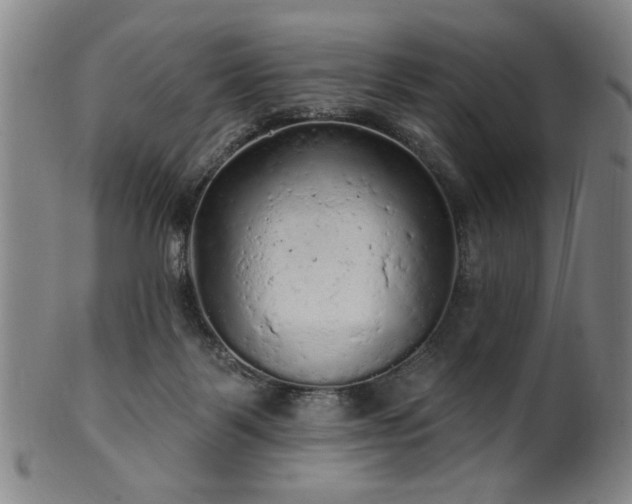 X0000102460123200808081236