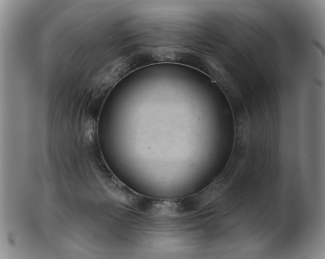 X0000102460125200808081236