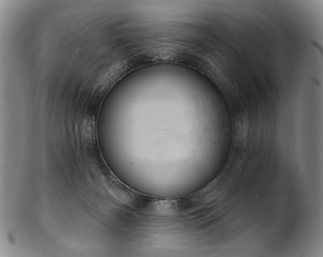 X0000102460126200808081236