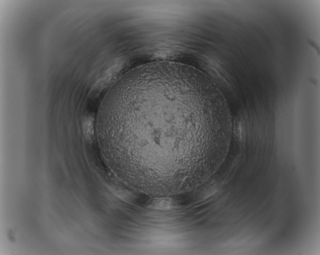 X0000102460127200808081236