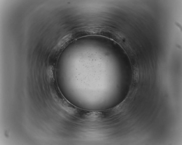 X0000102460128200808081236