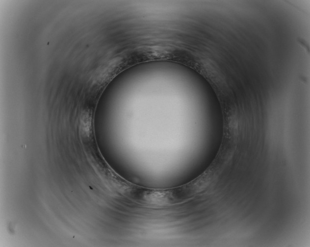 X0000102460129200808081236