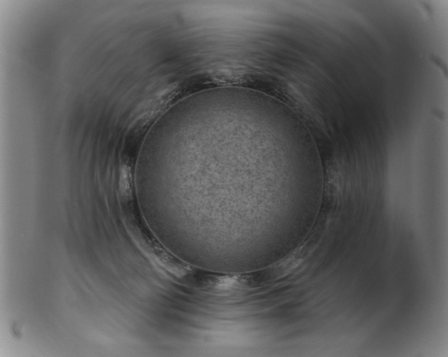 X0000102460130200808081236