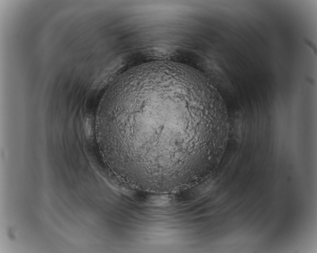 X0000102460131200808081236