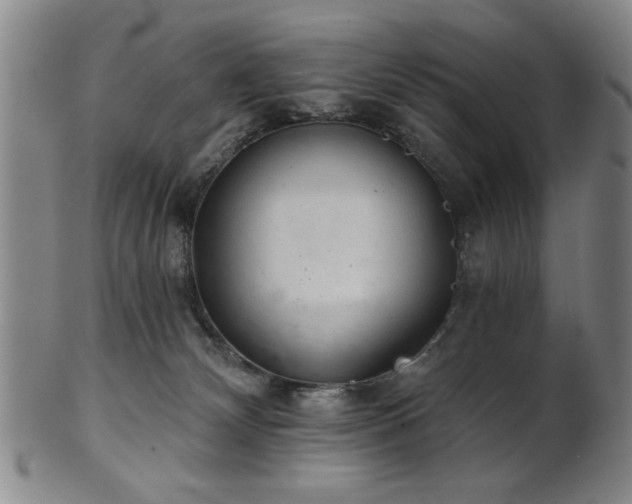 X0000102460132200808081236