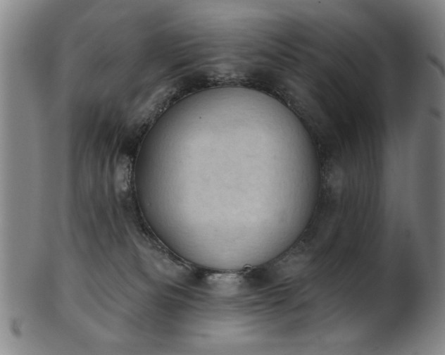 X0000102460133200808081236