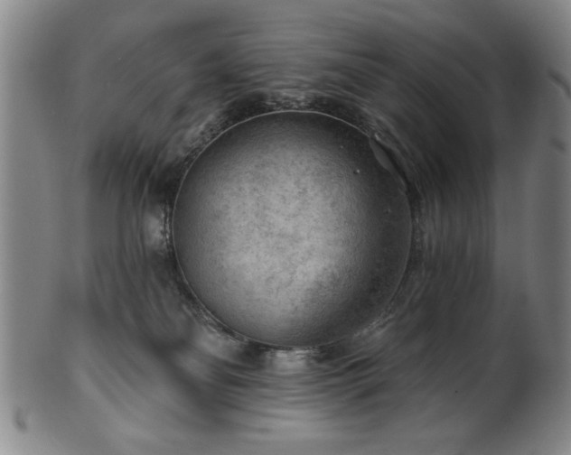 X0000102460134200808081236