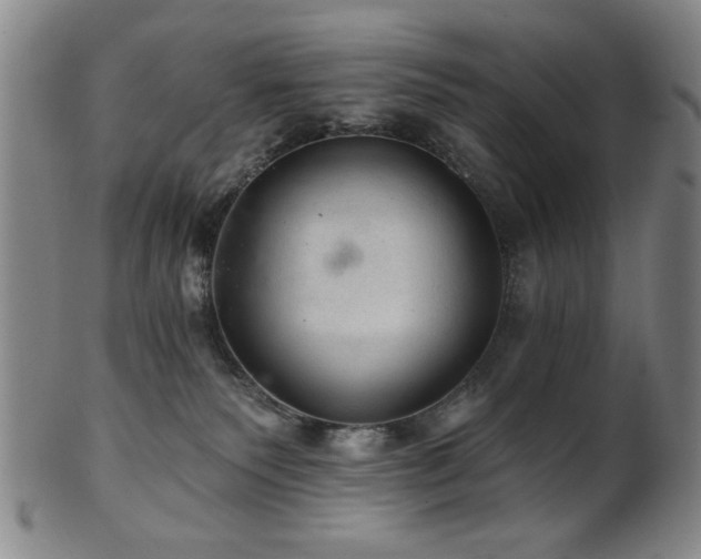 X0000102460135200808081236