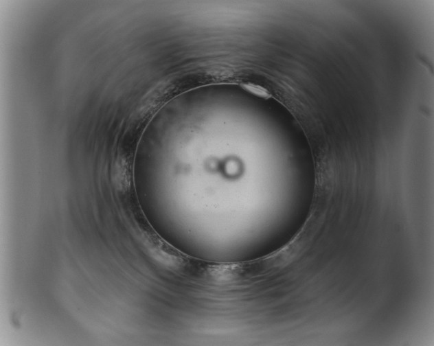 X0000102460136200808081236