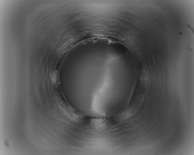 X0000102460139200808081235