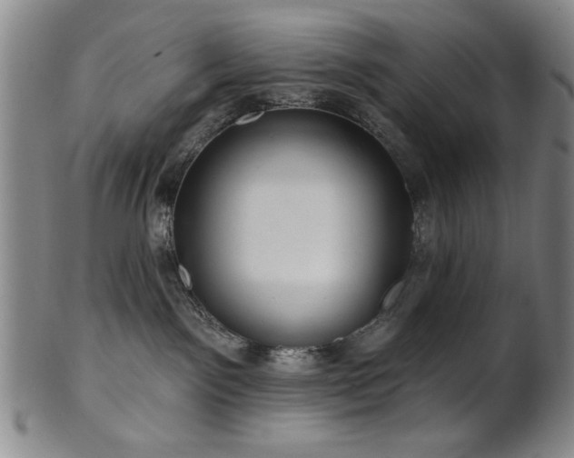 X0000102460141200808081235