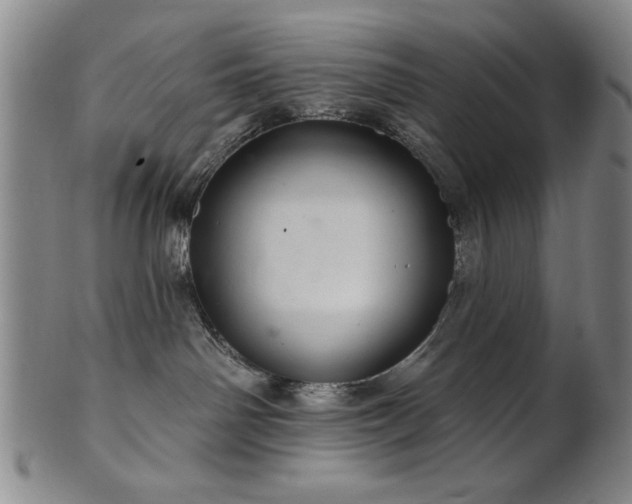 X0000102460142200808081235