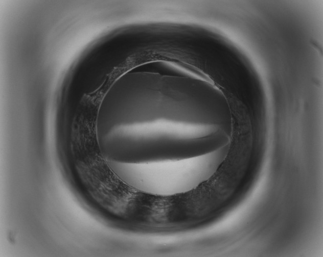 X0000102460143200808081235