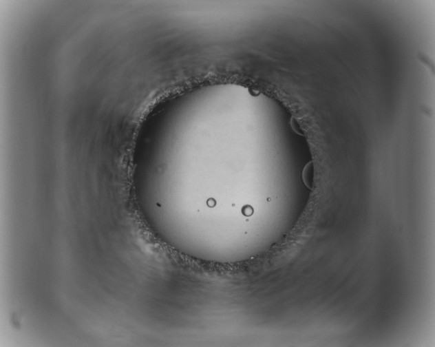 X0000102460144200808081235