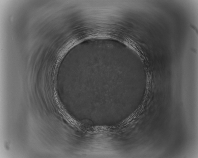 X0000102460145200808081235