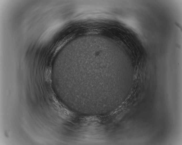 X0000102460146200808081235