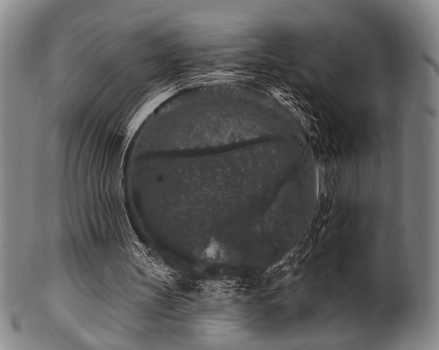 X0000102460147200808081235