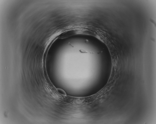 X0000102460148200808081235