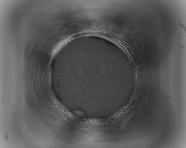 X0000102460149200808081235