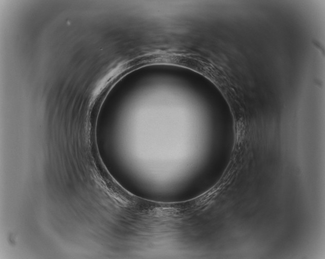 X0000102460150200808081235