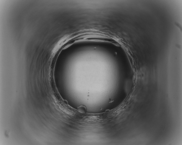 X0000102460151200808081235