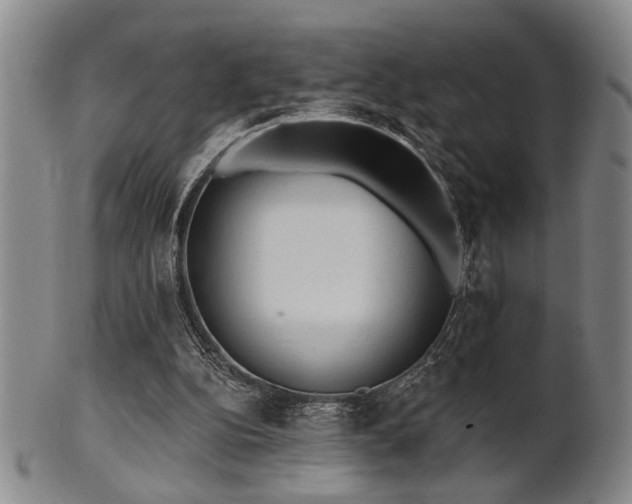 X0000102460152200808081235